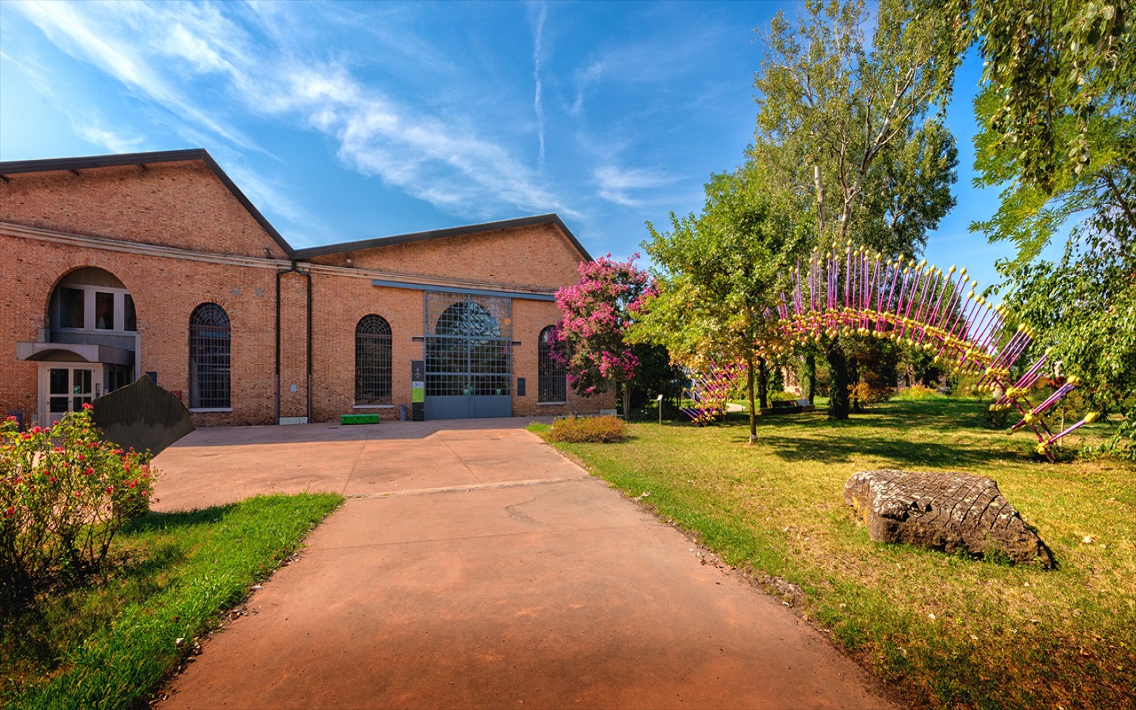 Gallery foto n.1 Sea Urchin