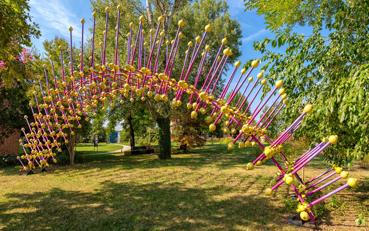 Gallery foto n.2 Sea Urchin