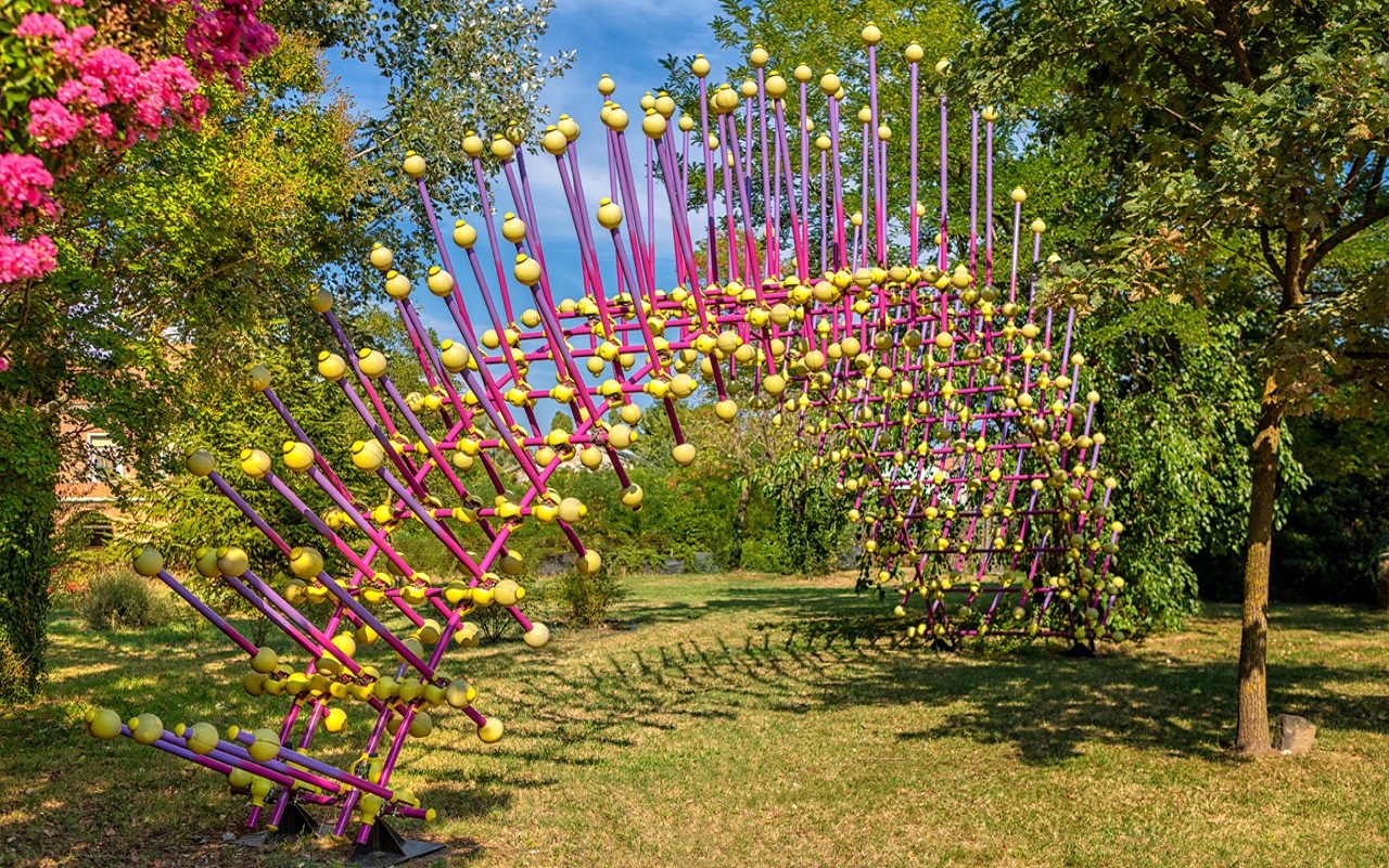 Gallery foto n.3 Sea Urchin