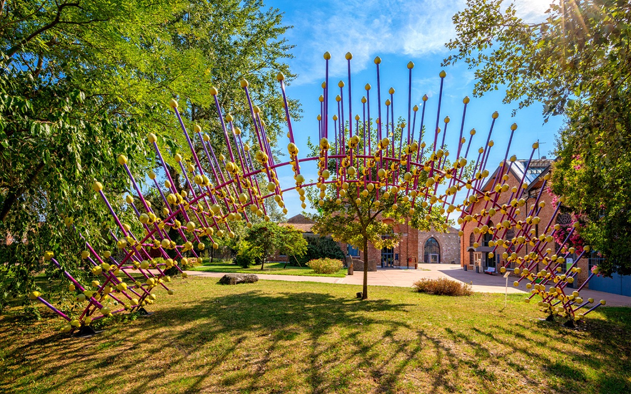 Gallery foto n.4 Sea Urchin