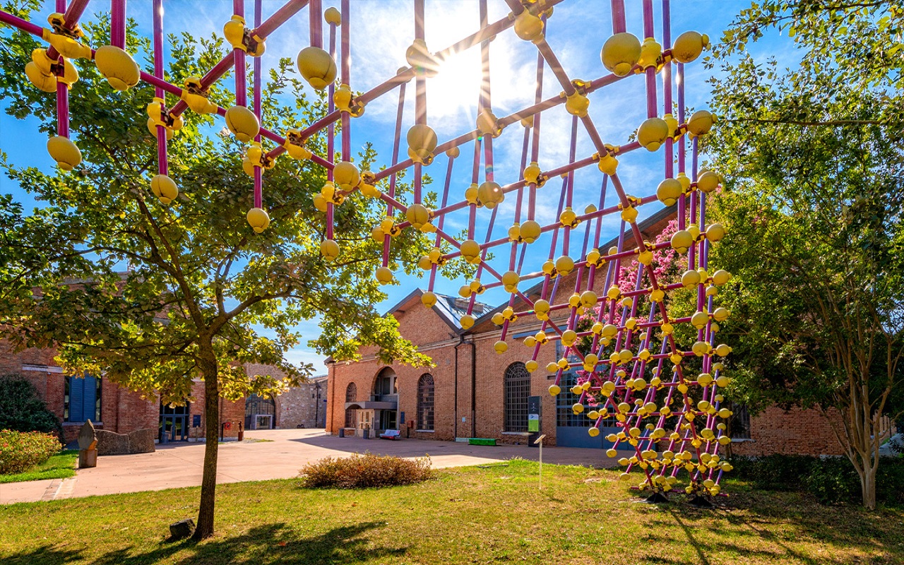 Gallery foto n.5 Sea Urchin