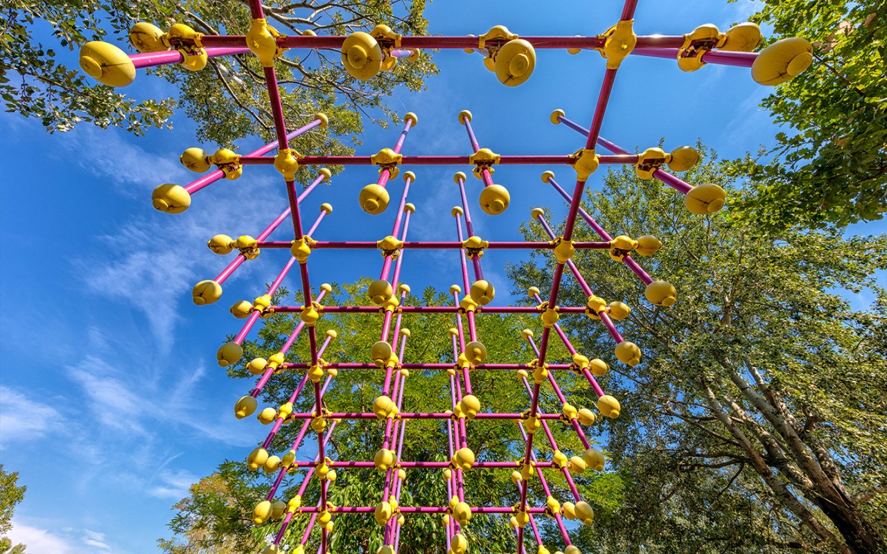 Gallery foto n.6 Sea Urchin