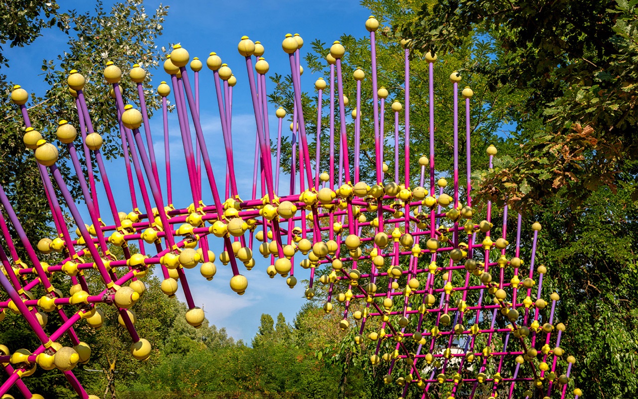 Gallery foto n.8 Sea Urchin