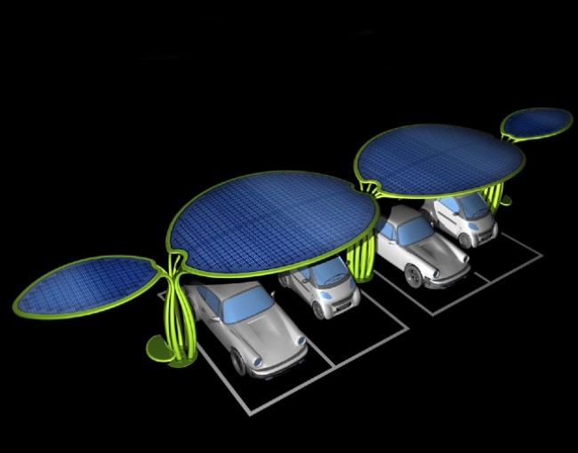 Gallery foto n.10 Desert Flower 