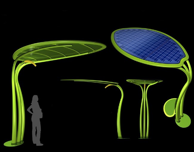 Gallery foto n.12 Desert Flower 